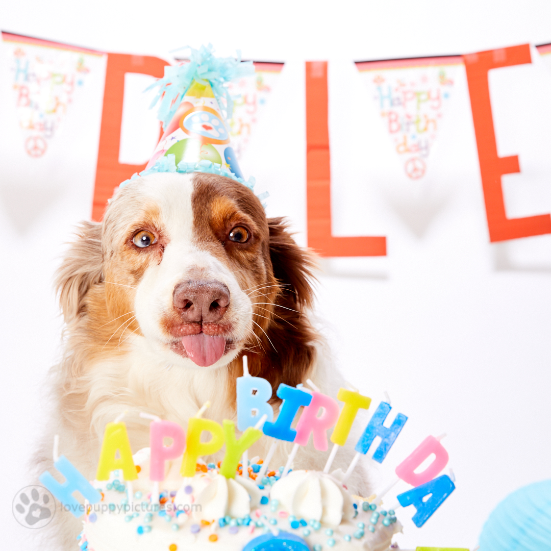 180414_LPP_Arley_Party_0040.jpg