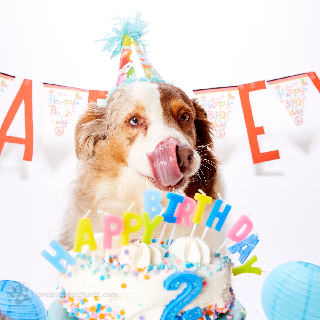180414_LPP_Arley_Party_0049.jpg