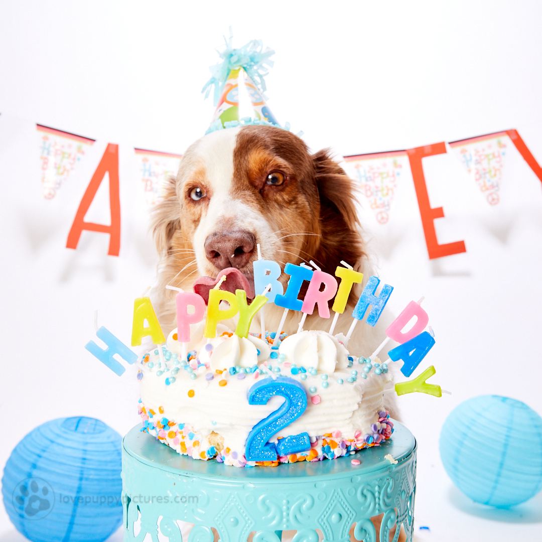 180414_LPP_Arley_Party_0054.jpg