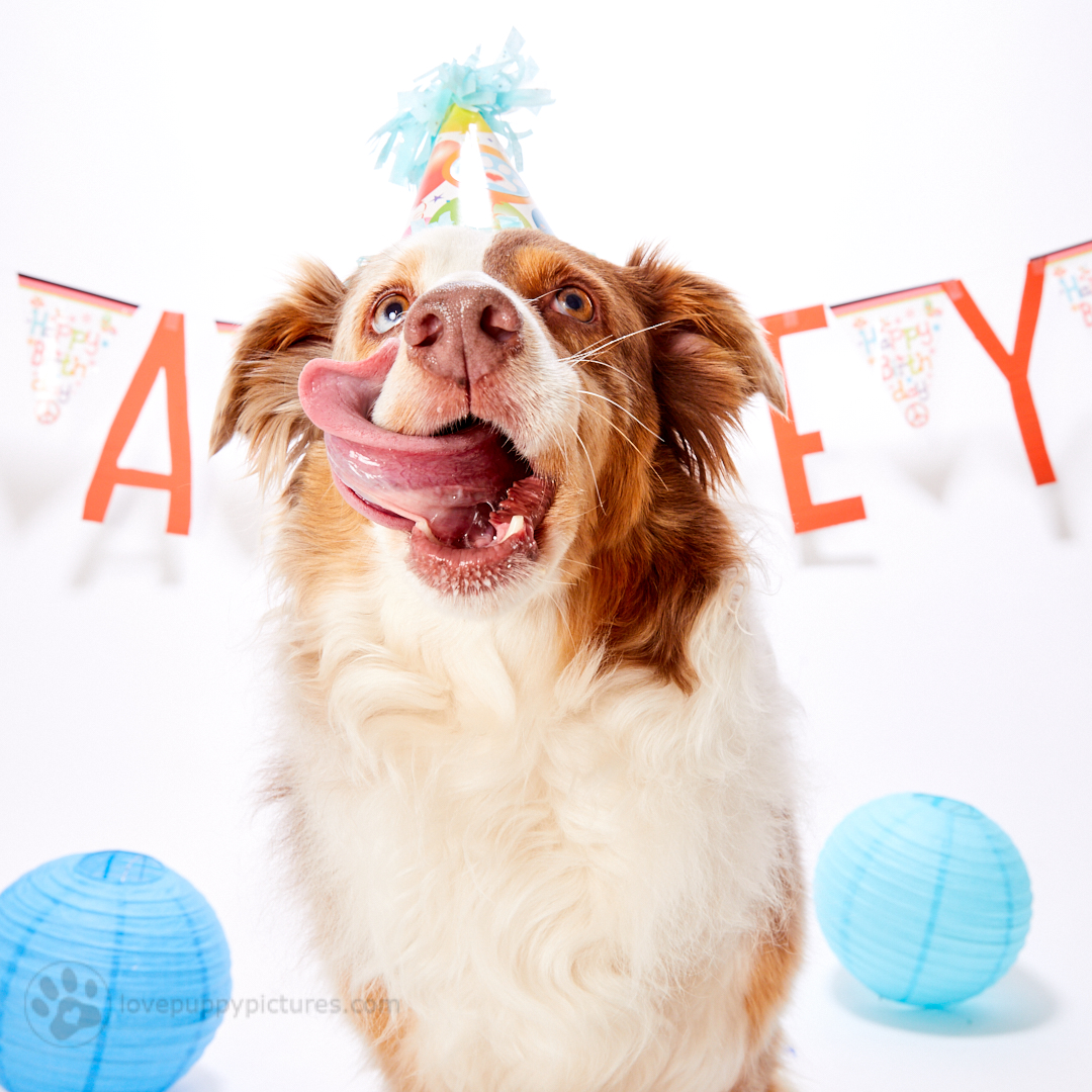 180414_LPP_Arley_Party_0064 1.jpg