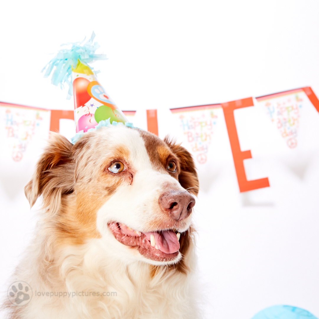 180414_LPP_Arley_Party_0088.jpg