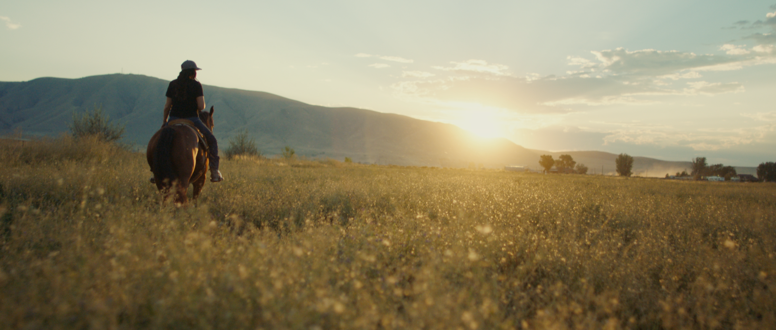 Screen Shot 2021-02-16 at 7.21.10 PM.png