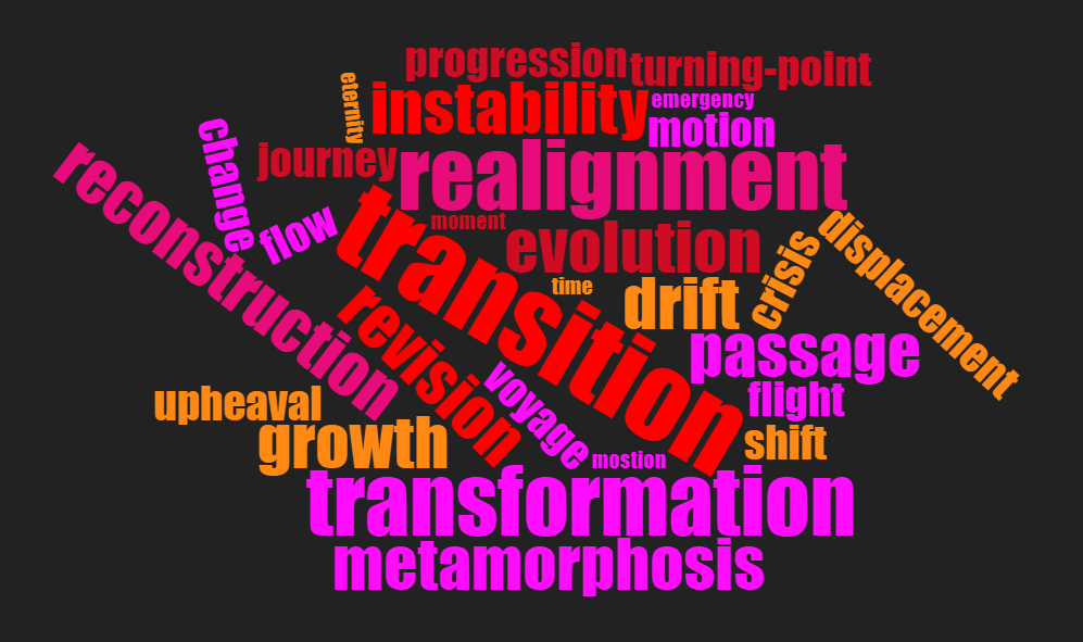 transition wordcloud 1.jpg