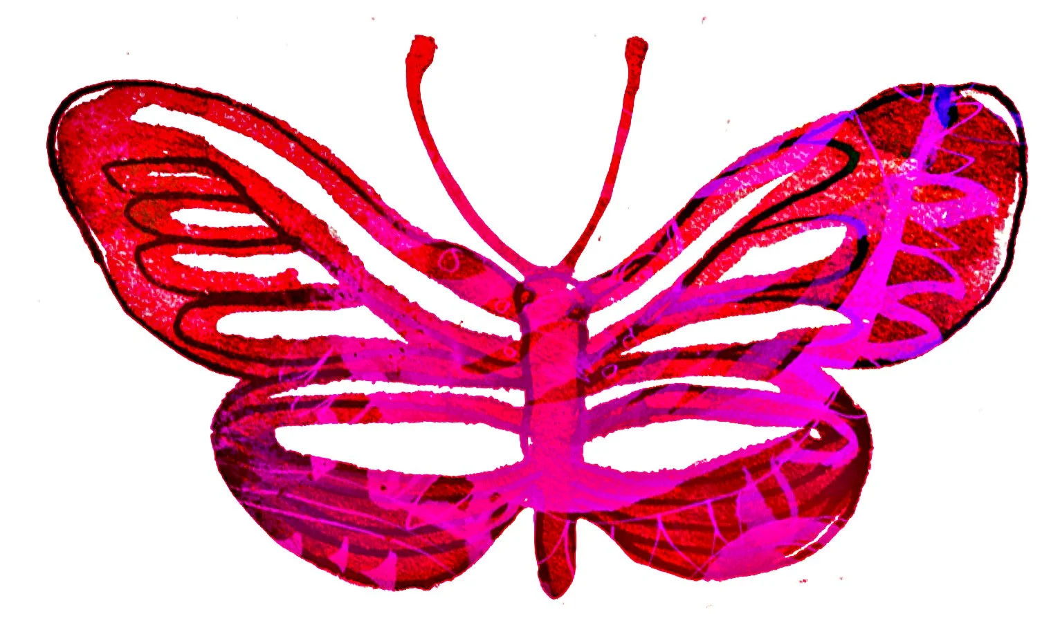 dark red pink butterfly.jpg