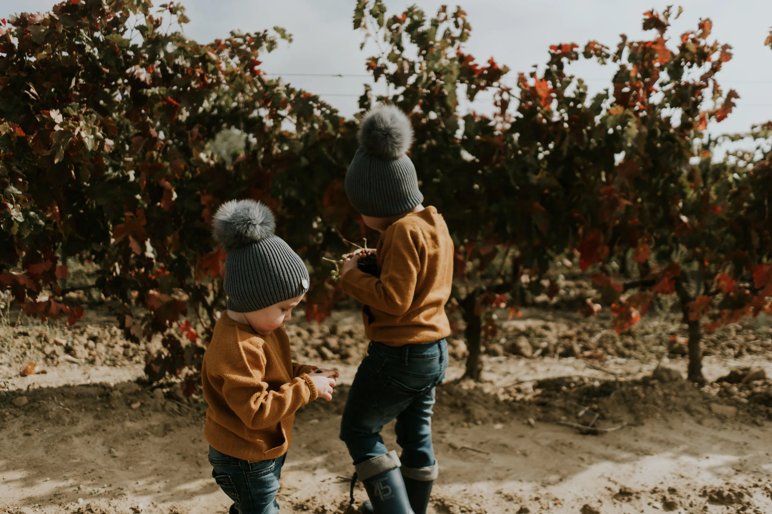 Diego+Álvaro