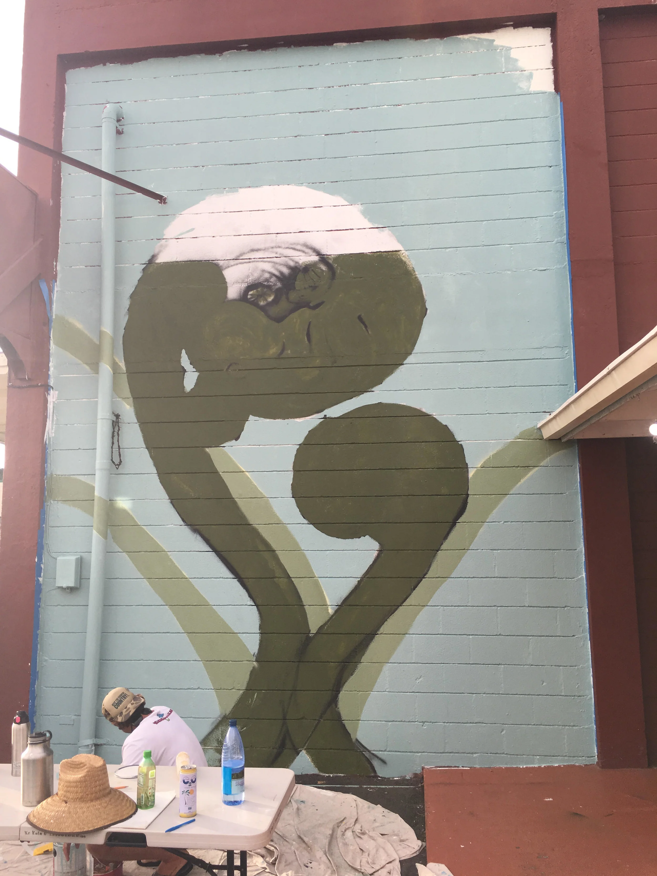 hapuu mele murals 1.jpg