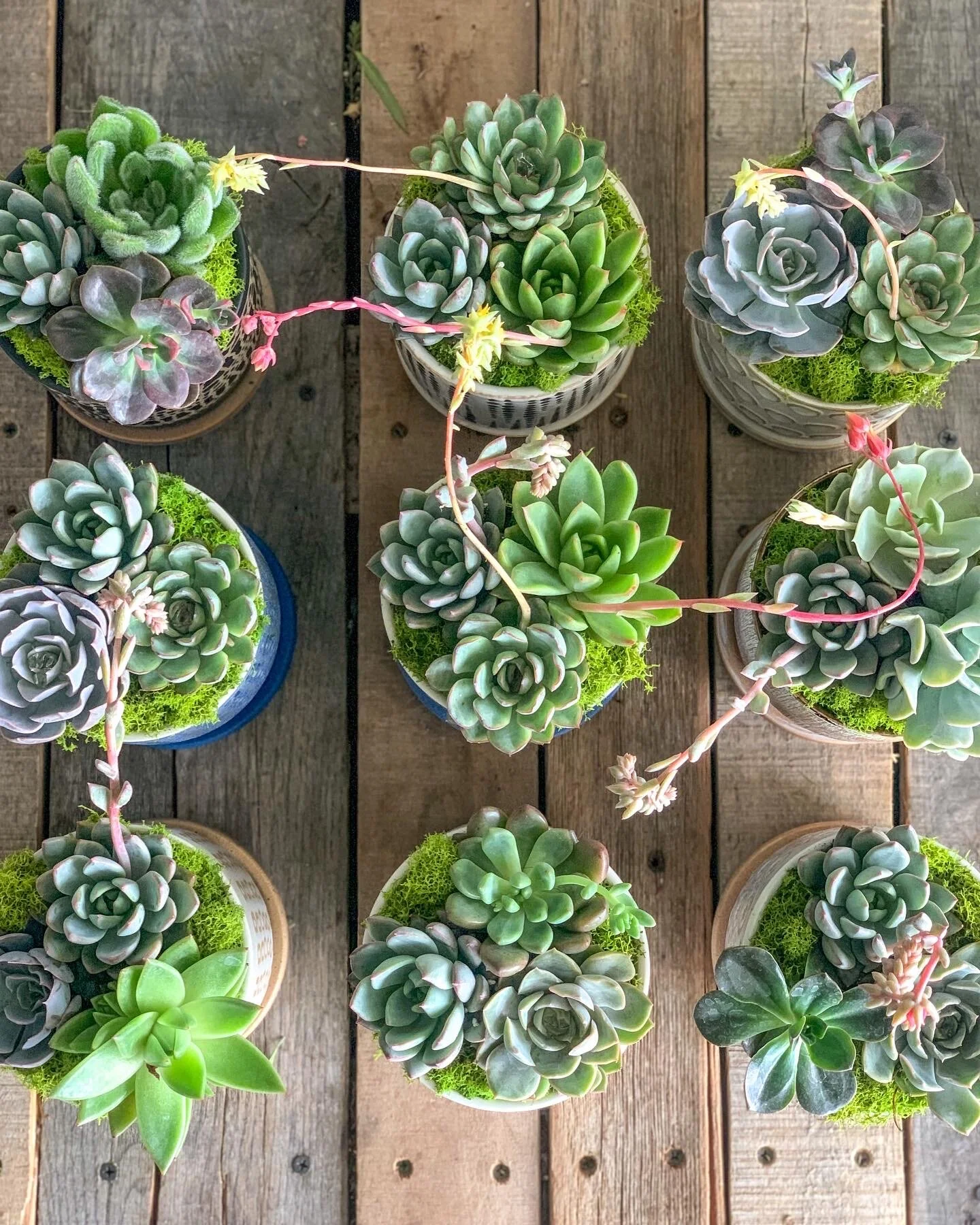 E82DBA9D-DB5E-4E01-AD0C-CF31E3938E2D