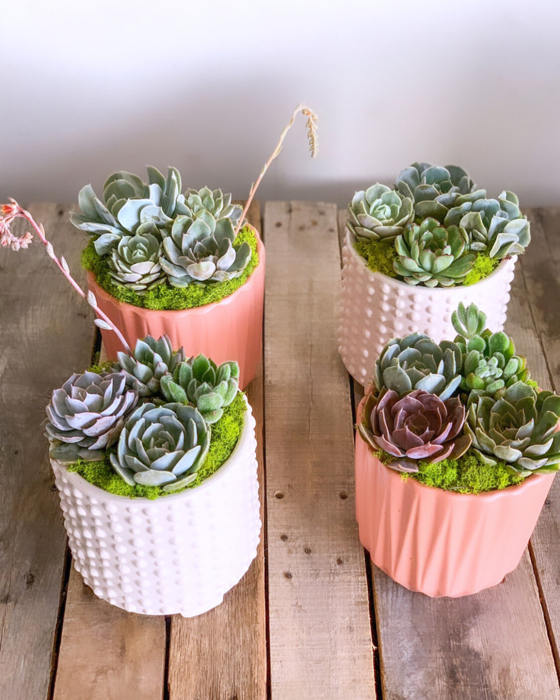 74BCD270-A210-410C-A8B2-BBDDBB3A542D