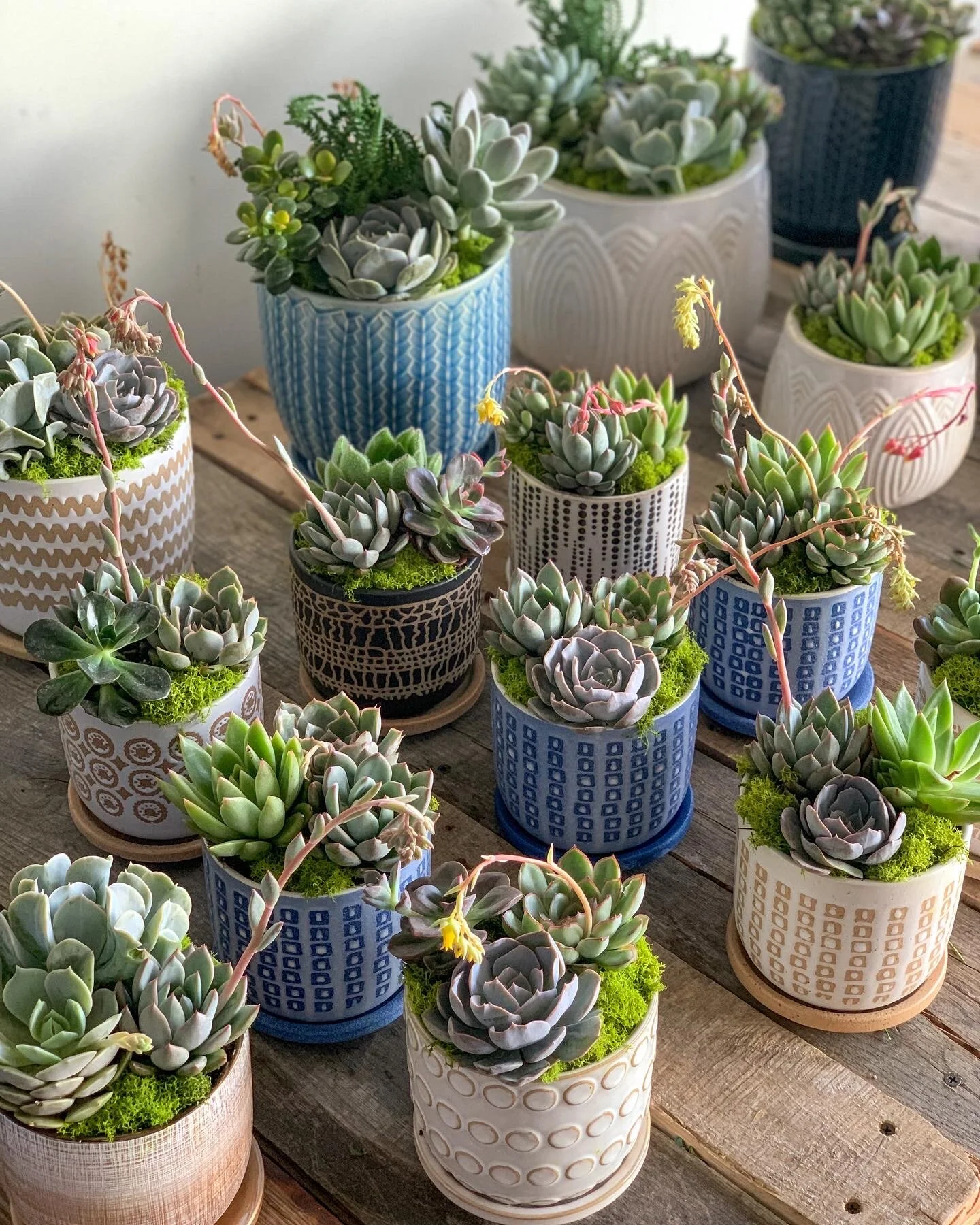 F7B68910-684E-4E51-8520-53C5C0CF4510