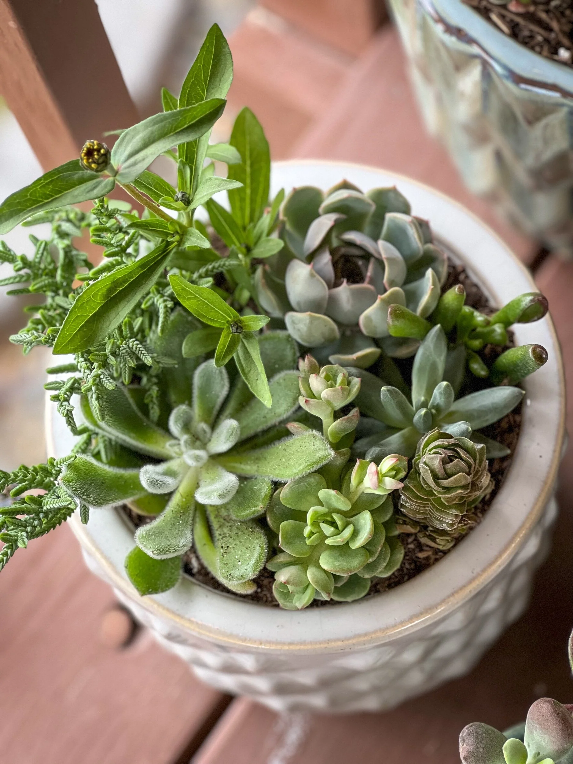 EB55536B-124D-4772-9259-2321FC397673