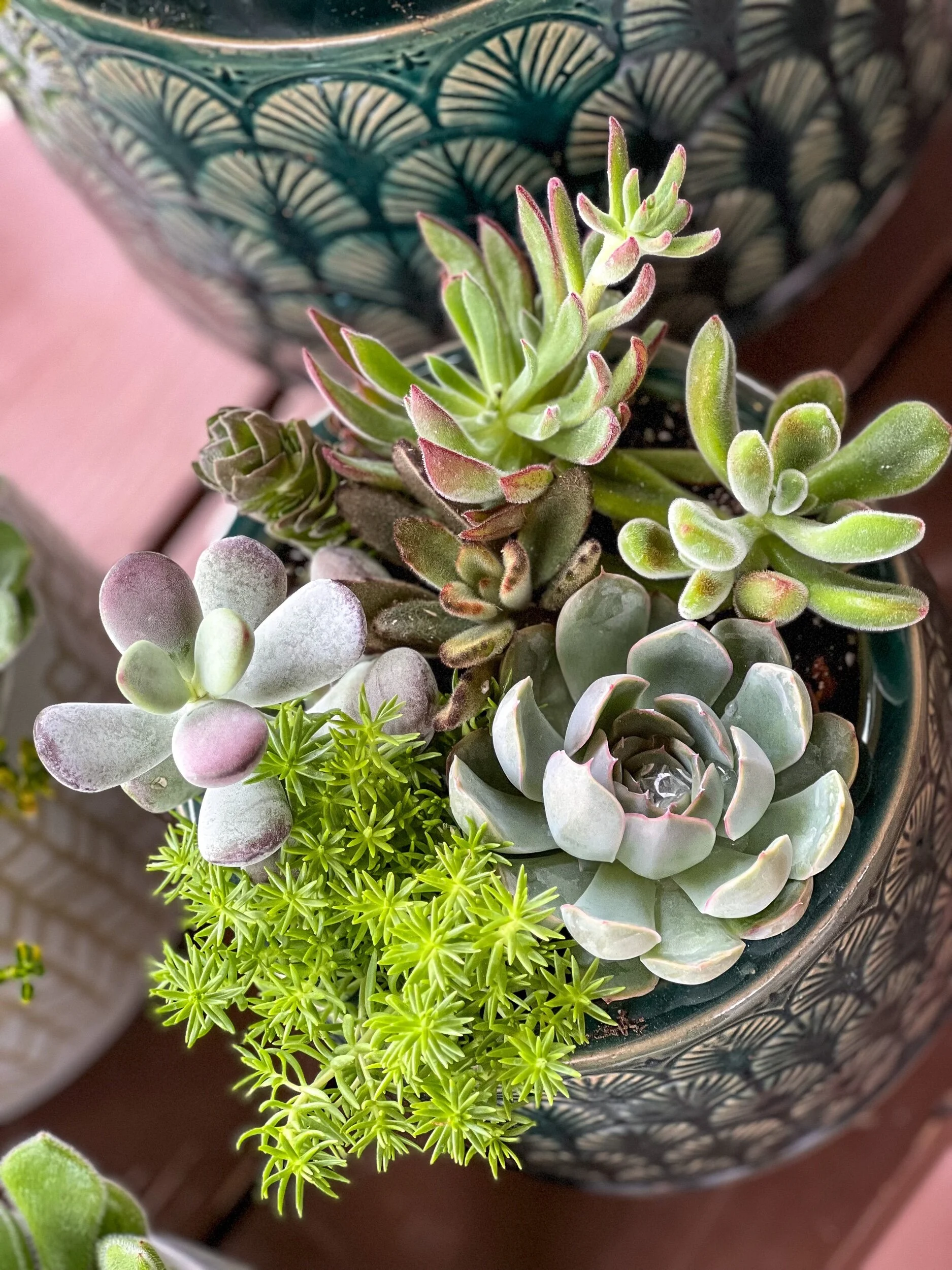 016F7326-06C7-47A2-8D80-CD3684BA2A66