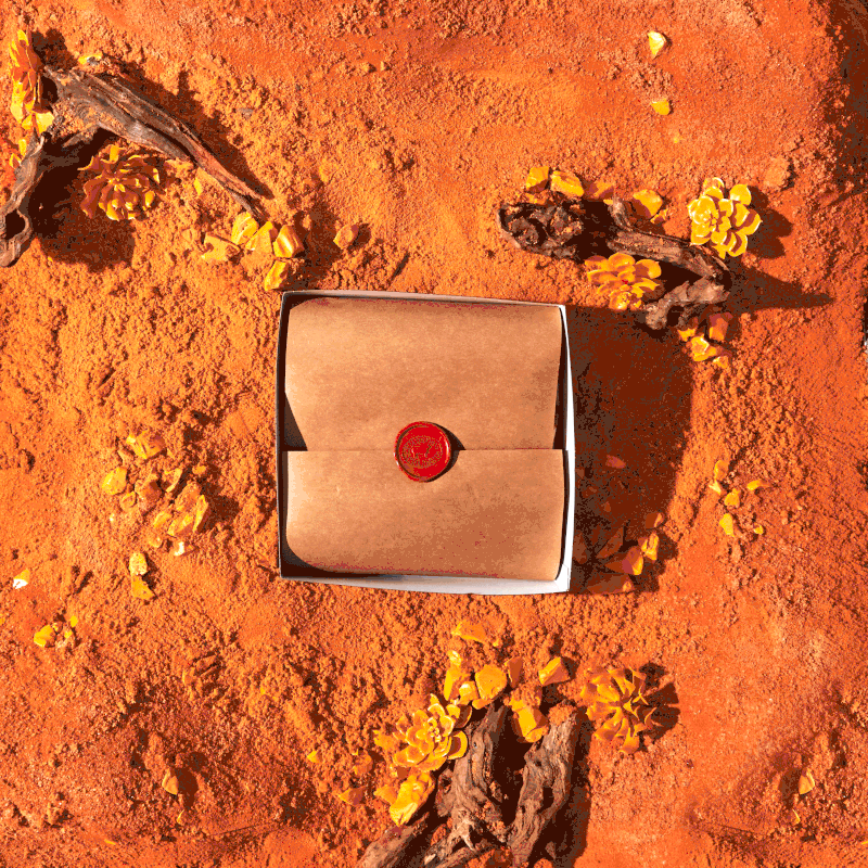 Cuetopia_Shot_04_GIF_3647-gif-ezgif.com-resize.gif
