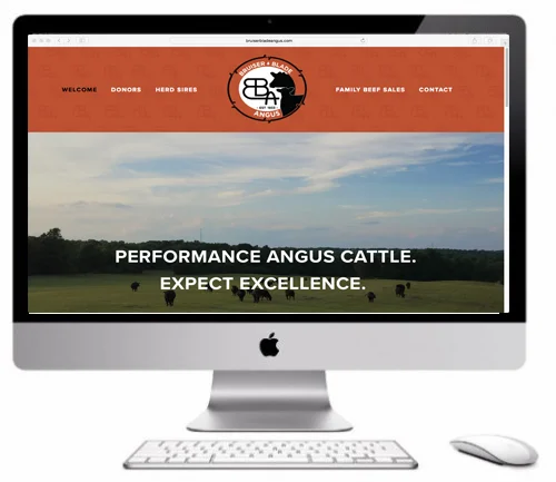 bba site.jpg