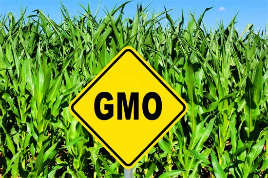 GMO Need to Know