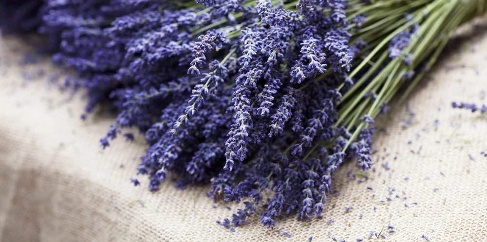 HEALING BODY, MIND AND SPIRIT