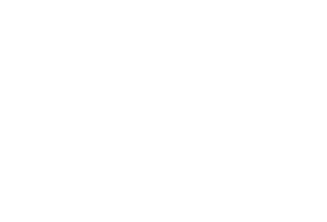 sedslogo.png
