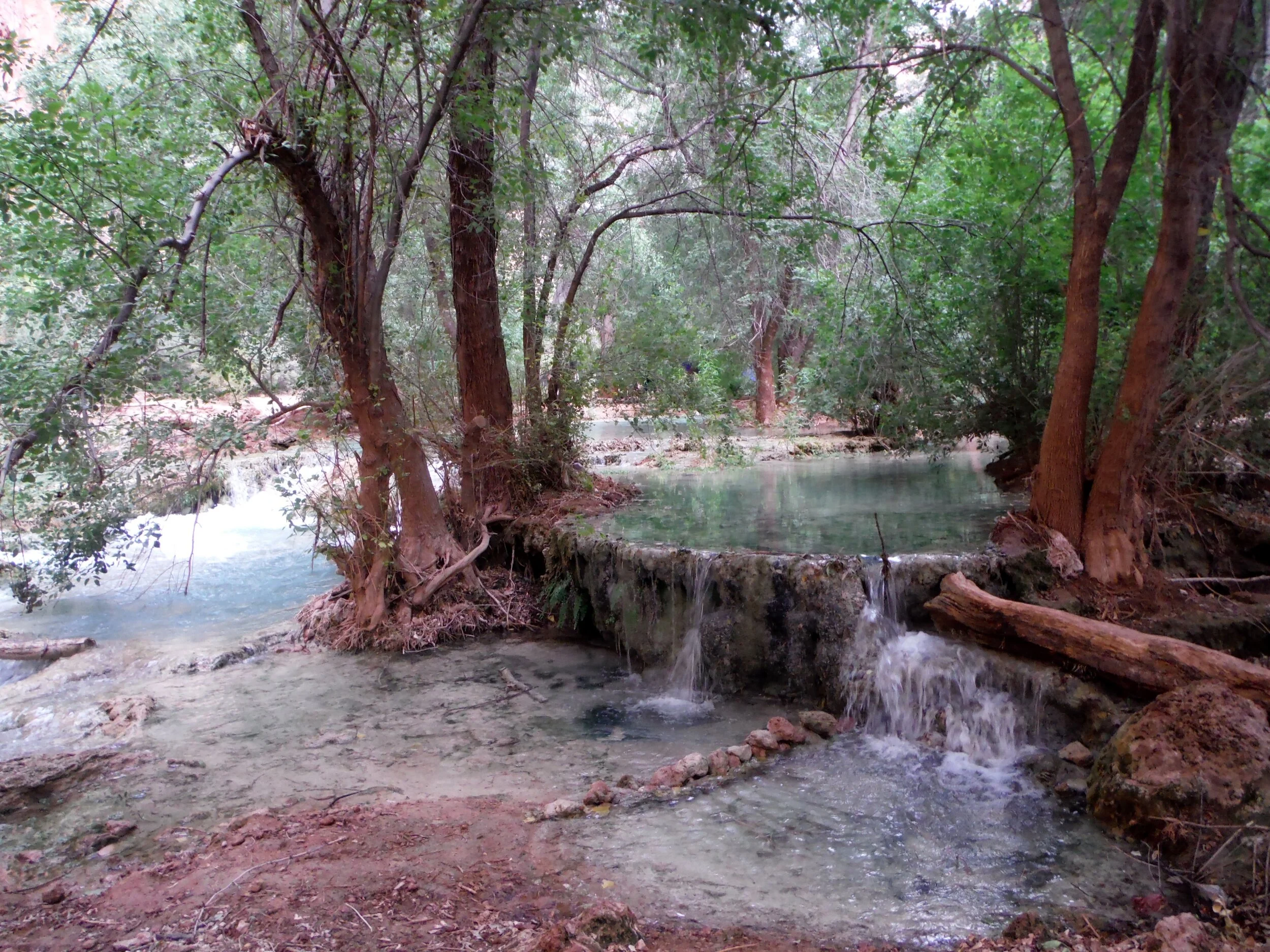 Havasupai 032.JPG