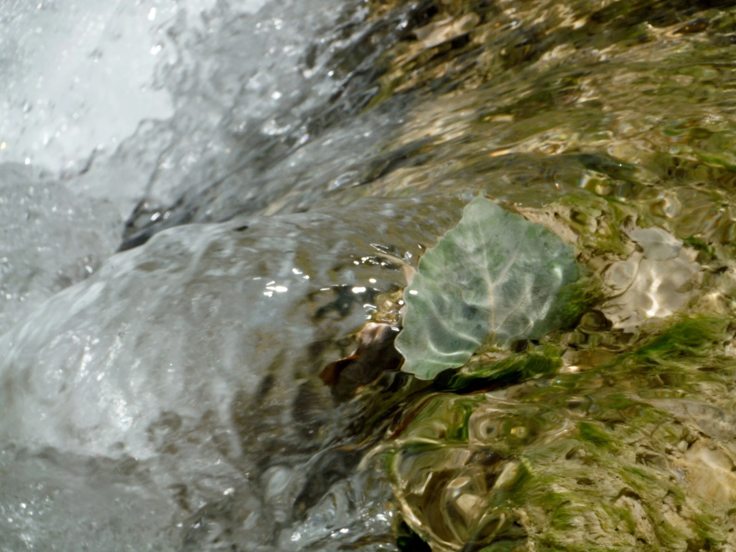 Havasupai 093.JPG