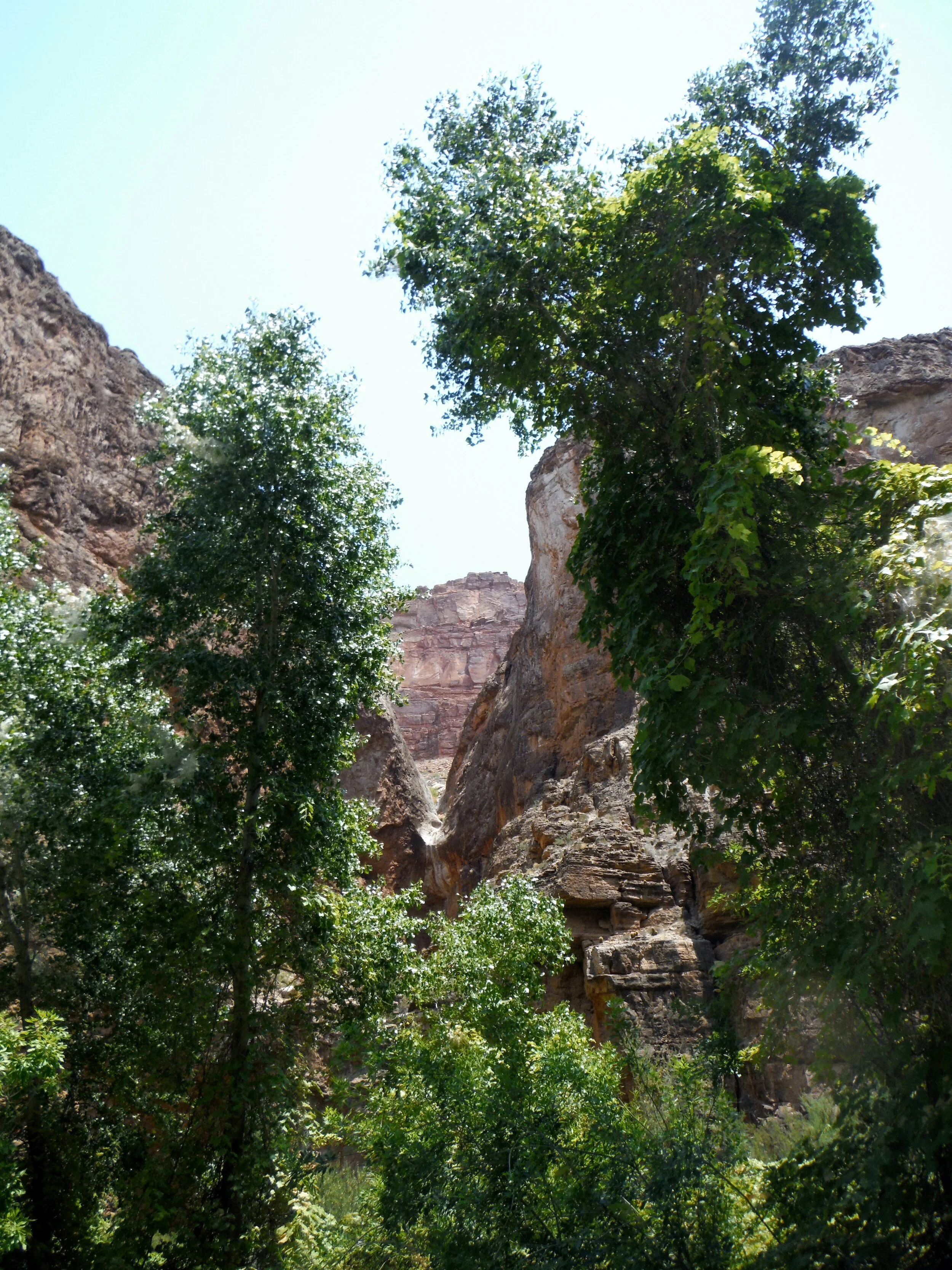 Havasupai 096.JPG