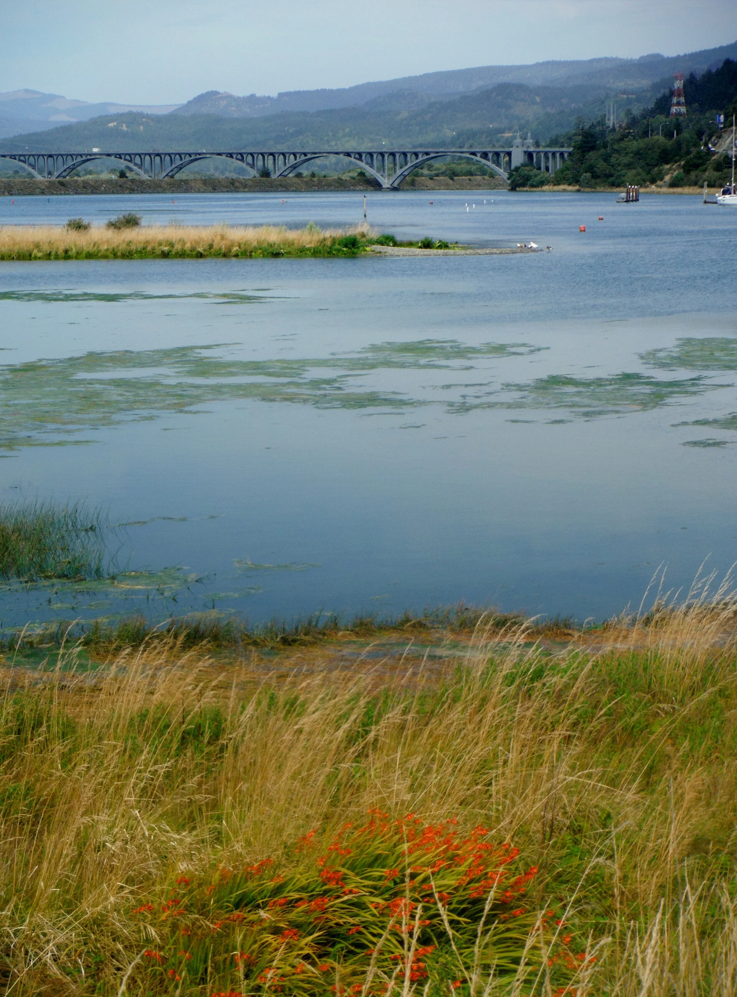 DSCF0247.JPG