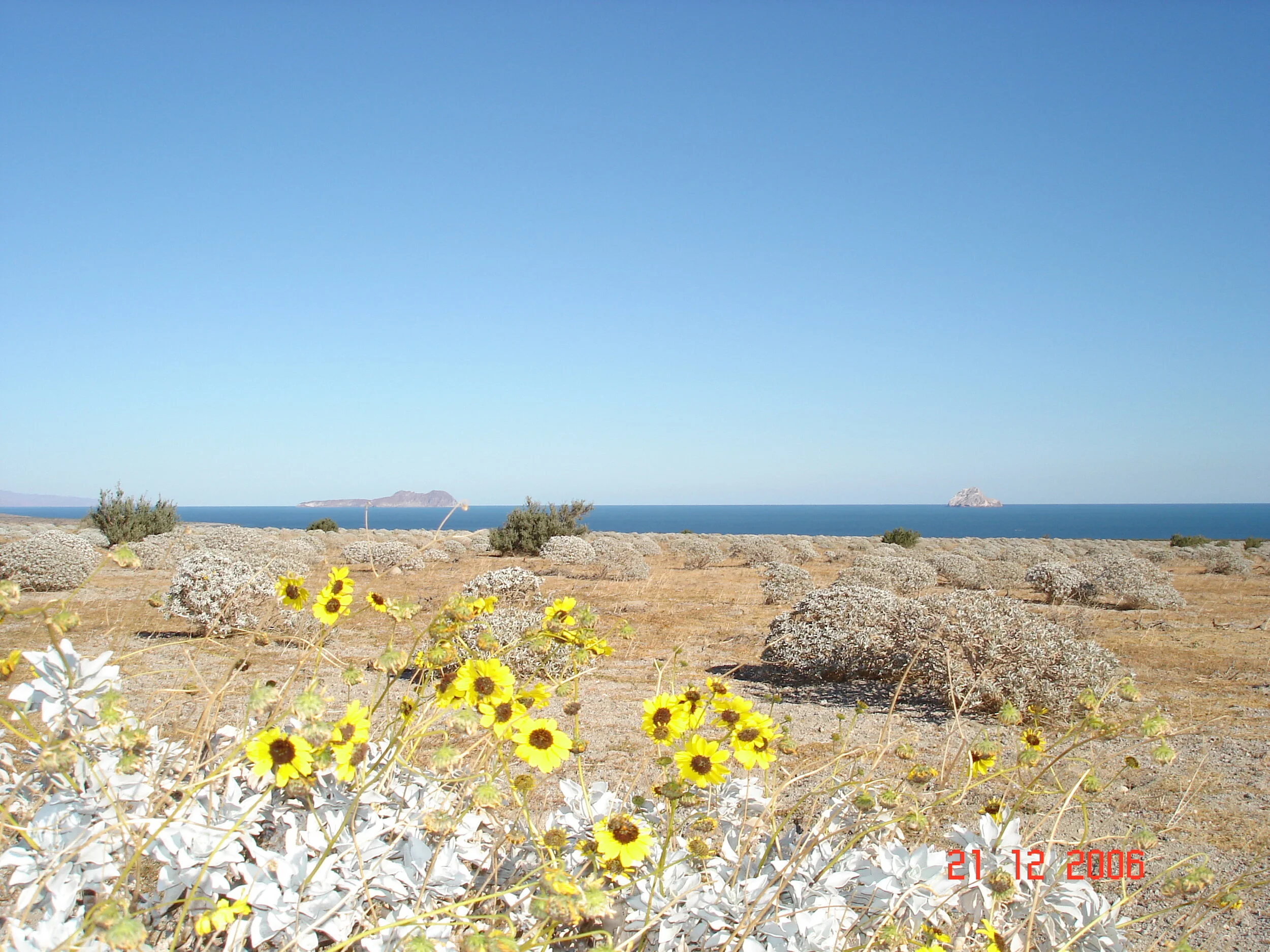 DSC00901.JPG