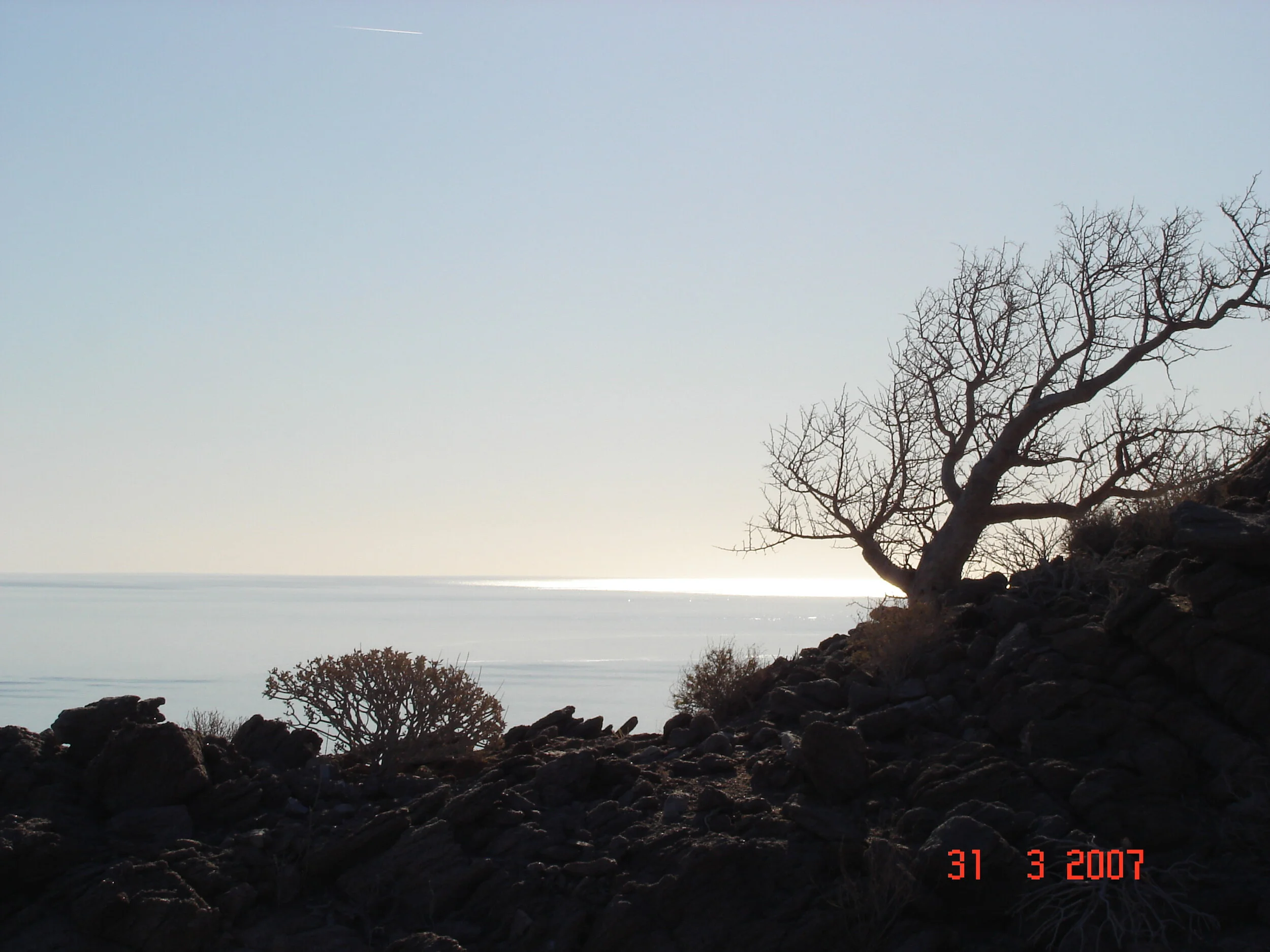 DSC01123.JPG