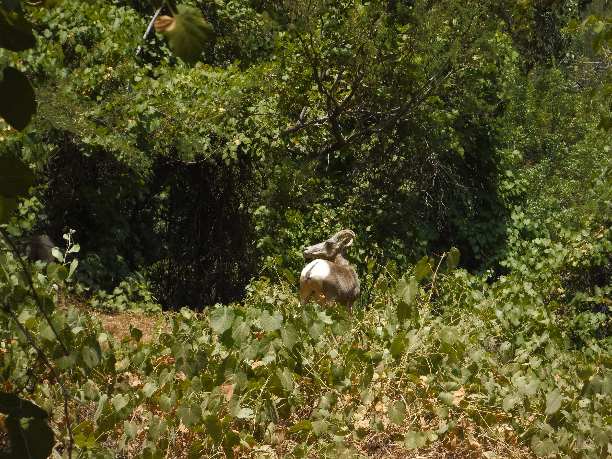 DSCF0178.JPG