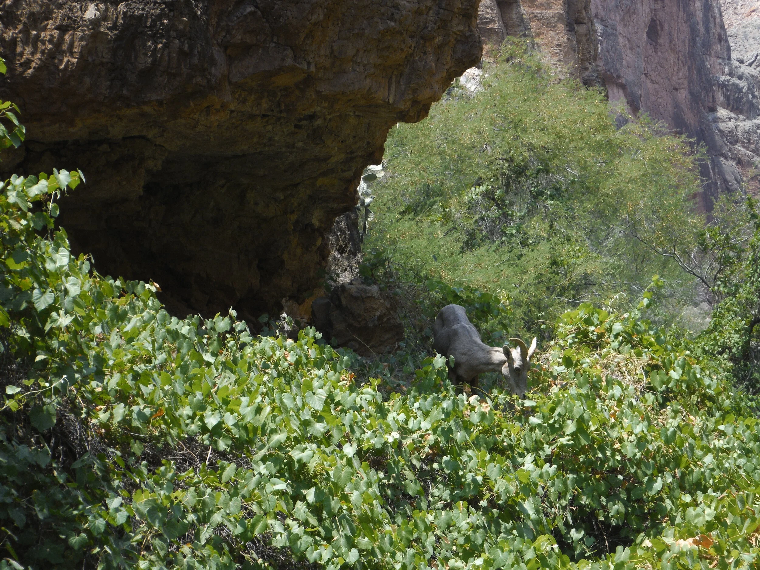 DSCF0179.JPG
