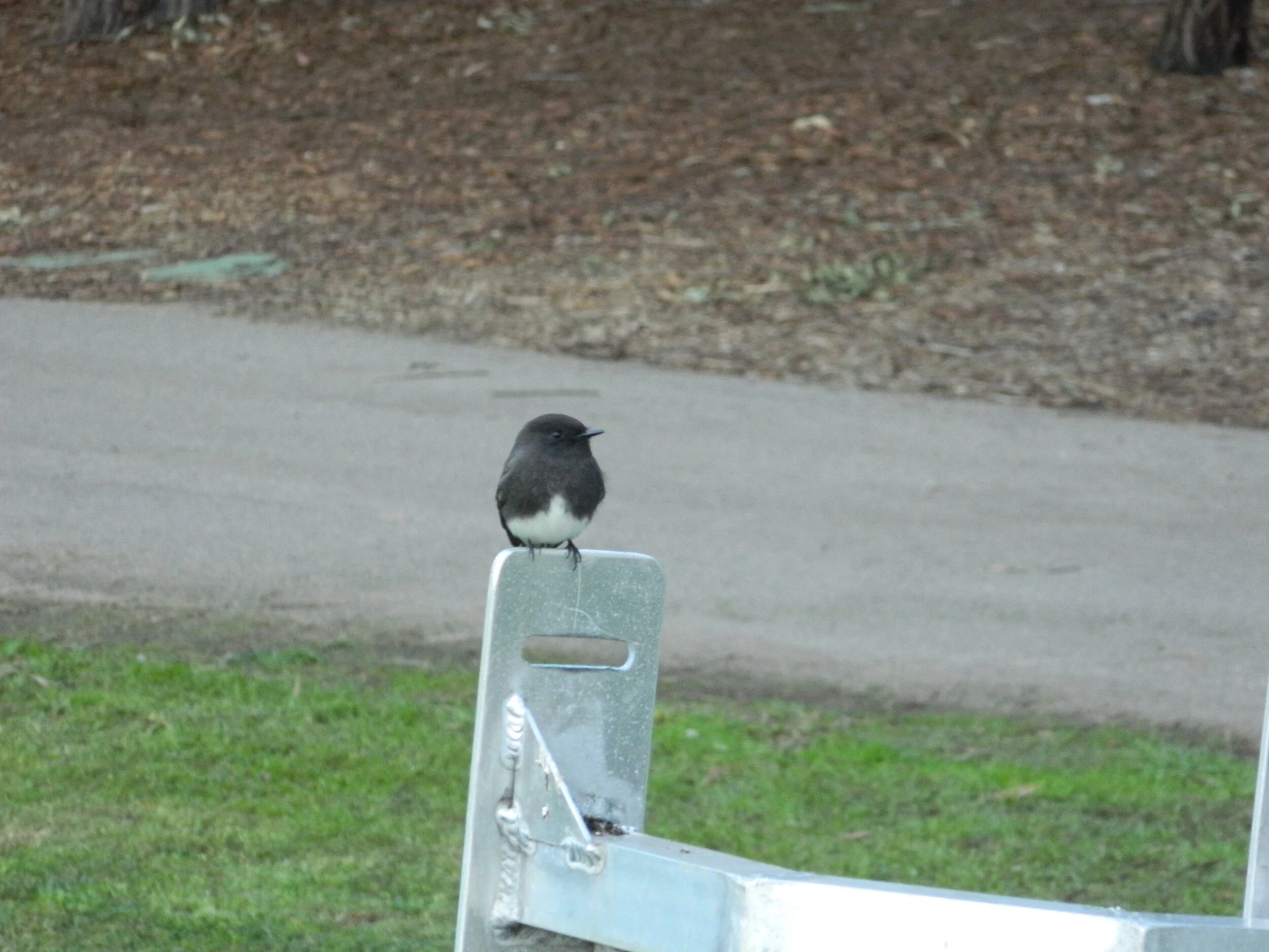 DSCN6084.JPG