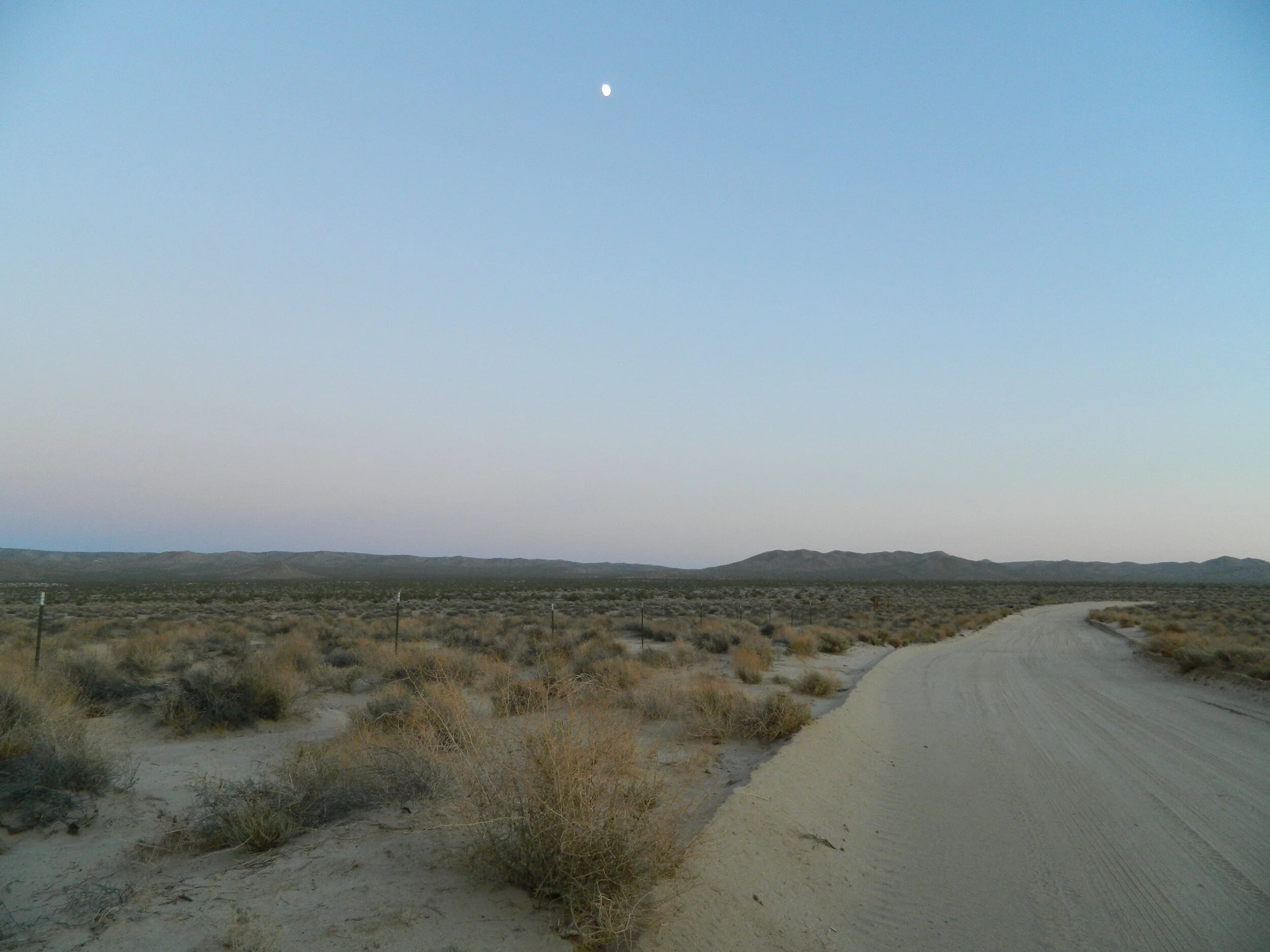 DSCN4980.JPG