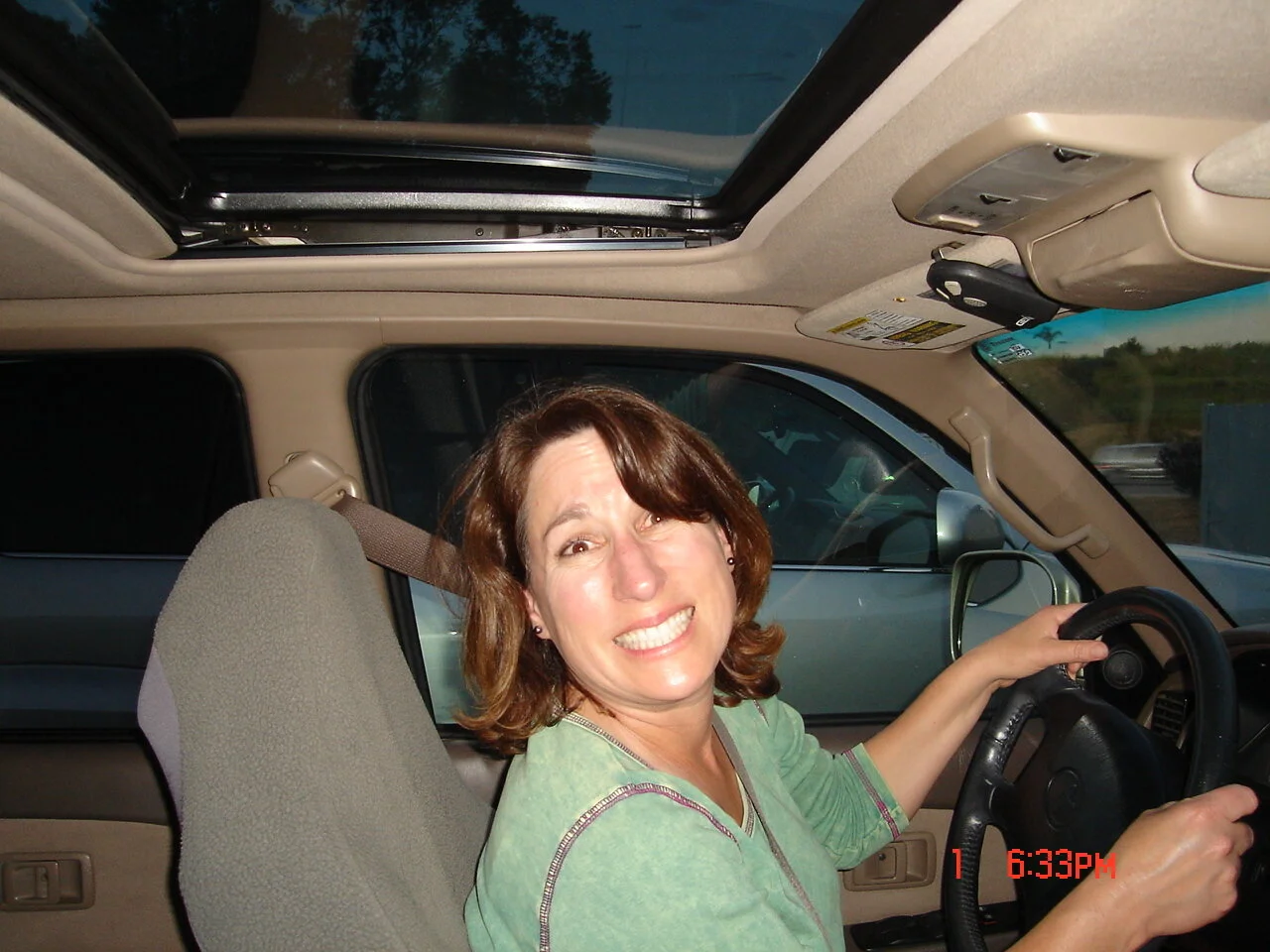 Tweed in her car 05-01-06.JPG