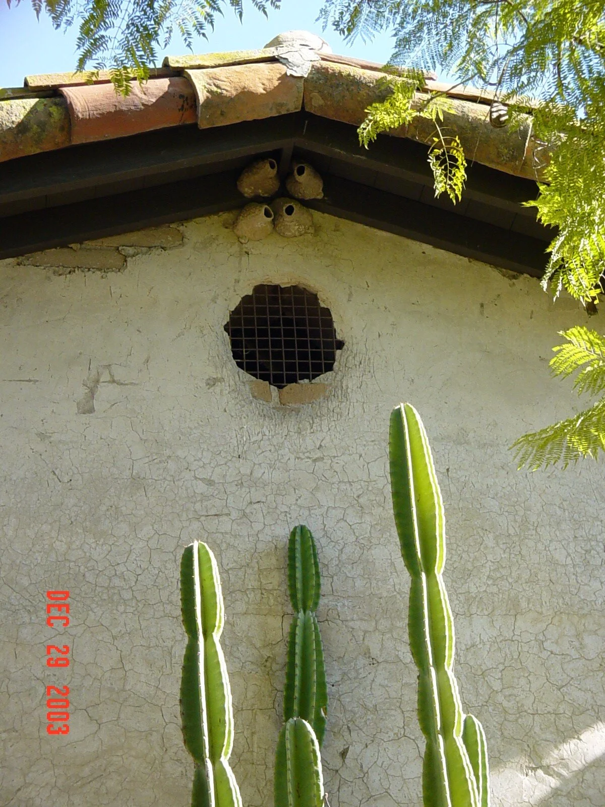 Capistrano-15.JPG