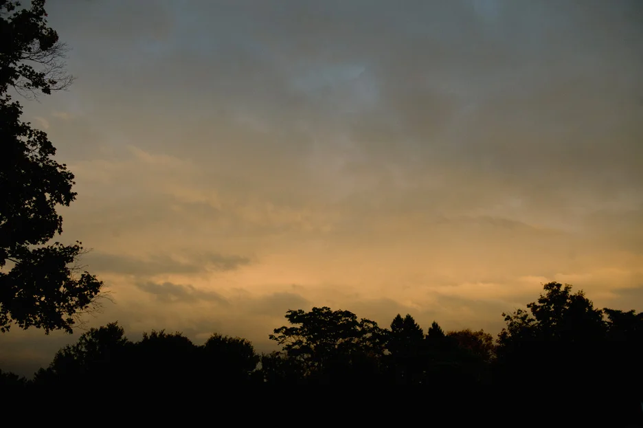 _DSC4015.jpg