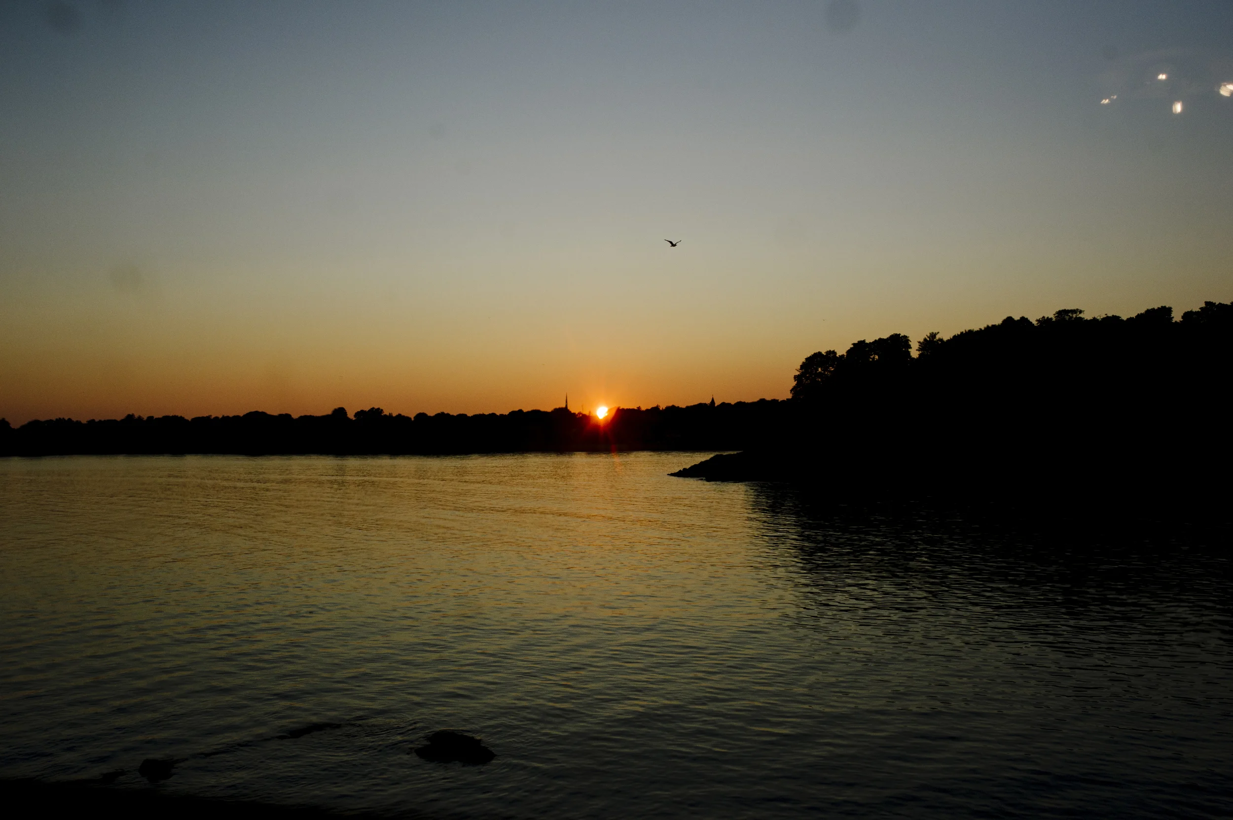 1047.jpg
