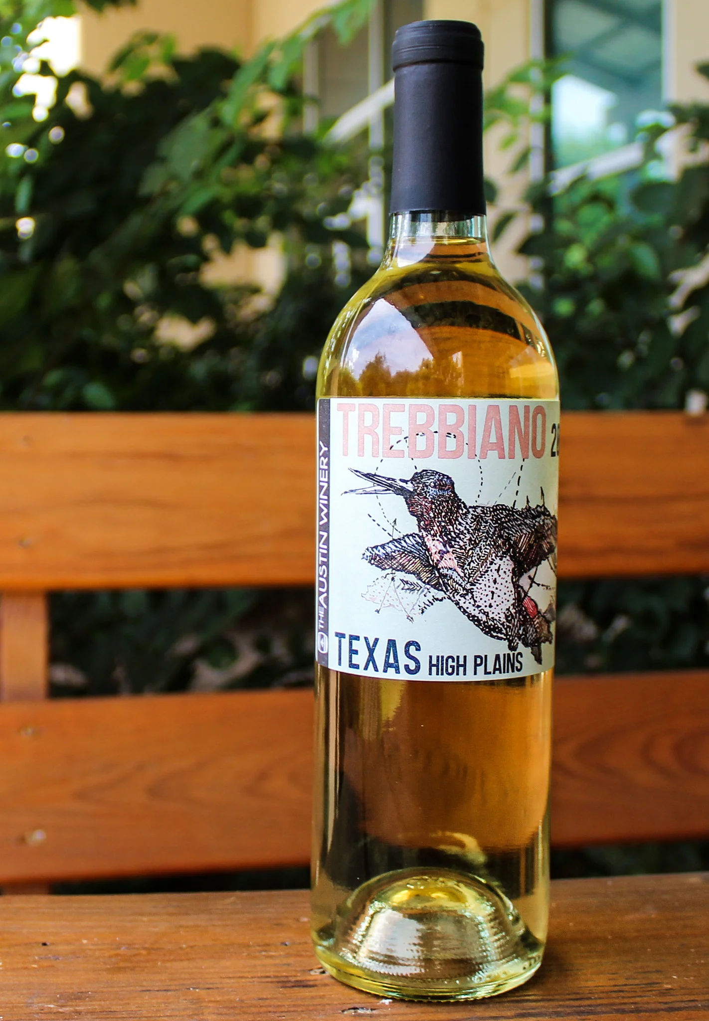 Trebbiano-1.jpg