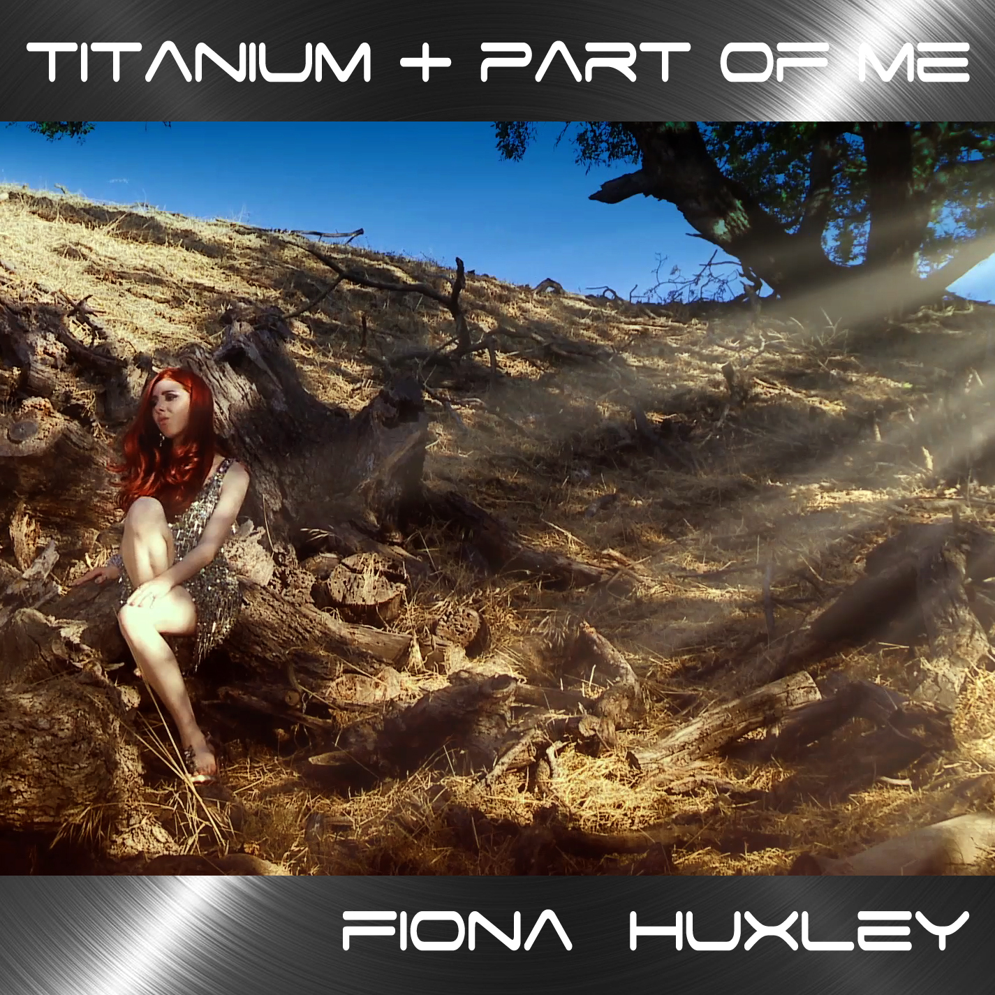 Titanium FIONA.jpeg