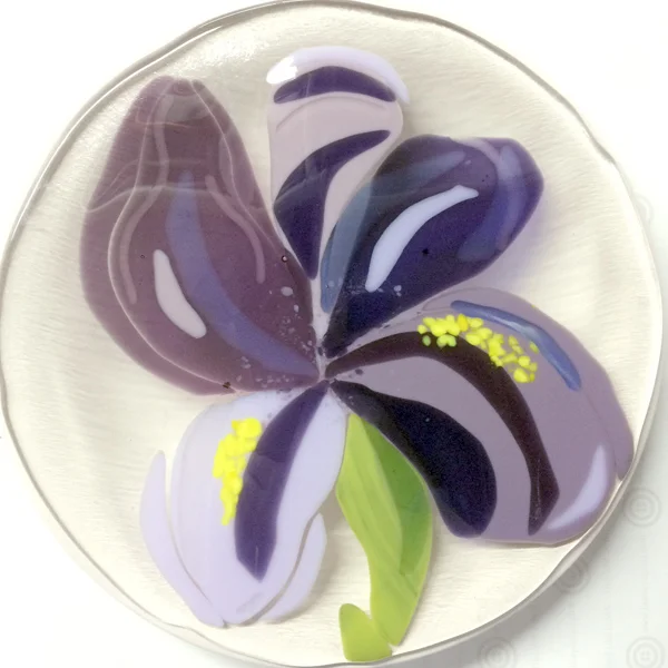 2.iris.flat.jpg