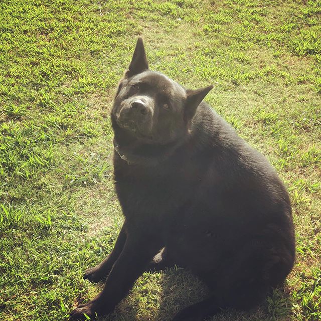 Yoko decided to be a model, I guess.