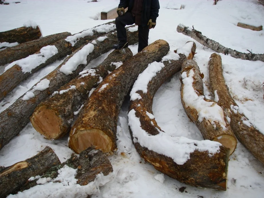 Hand selecting crooked timber. What is typically used for firewood now becomes the highest expression of the craft.