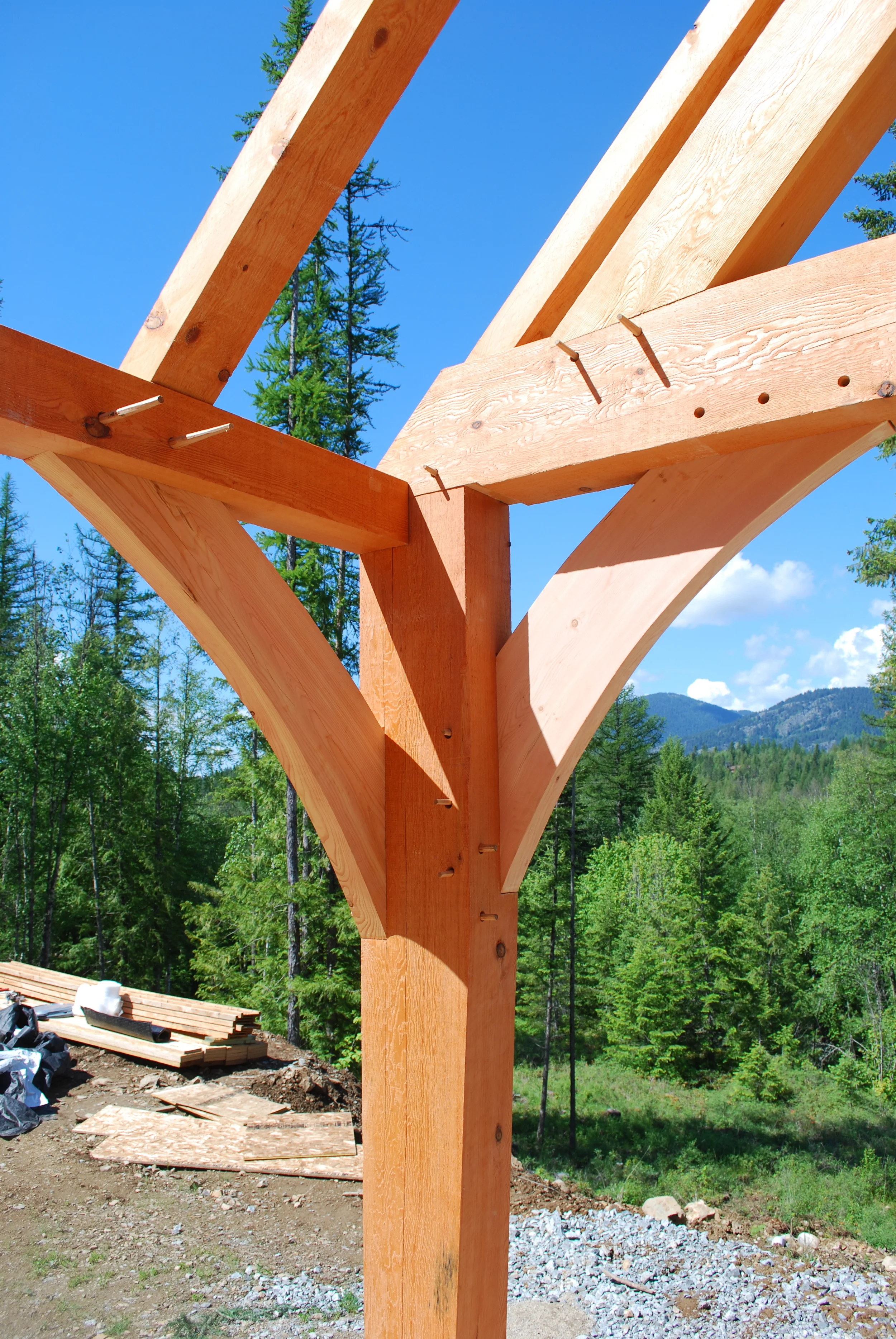 Douglas Fir braces in use.
