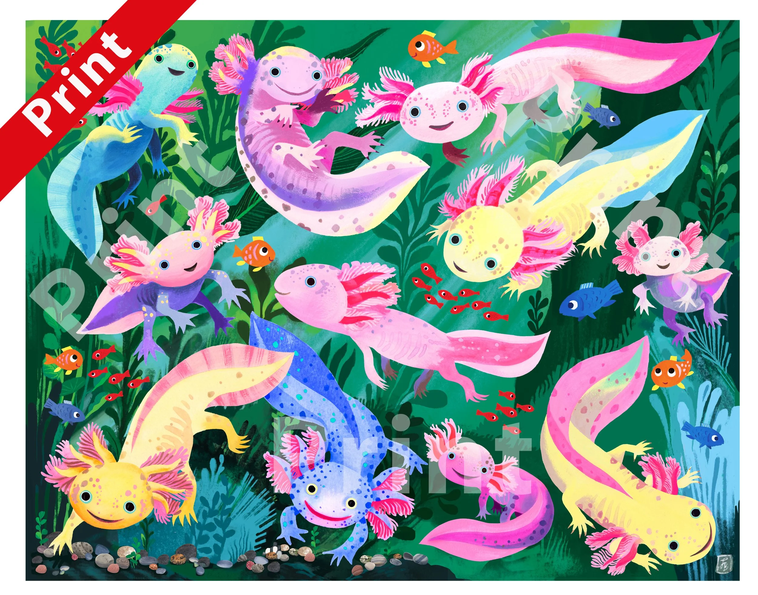 Axolotyls 11x14 WS.jpg