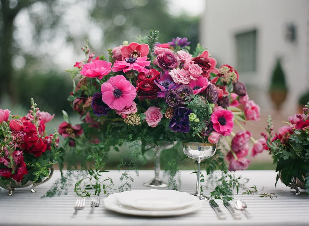 IMAGE BY DIANA MCGREGOR PHOTOGRAPHY