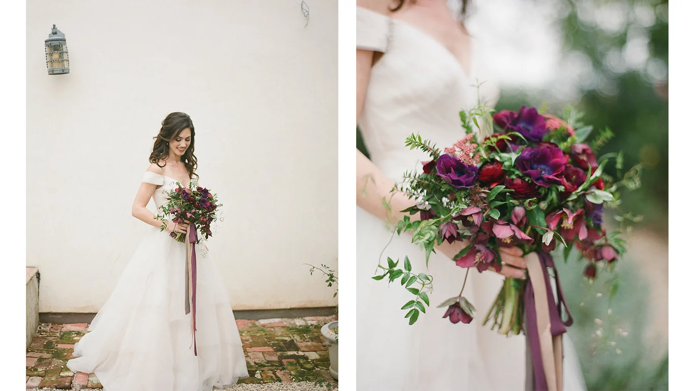 IMAGE BY DIANA MCGREGOR PHOTOGRAPHY