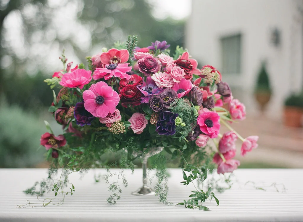 IMAGE BY DIANA MCGREGOR PHOTOGRAPHY