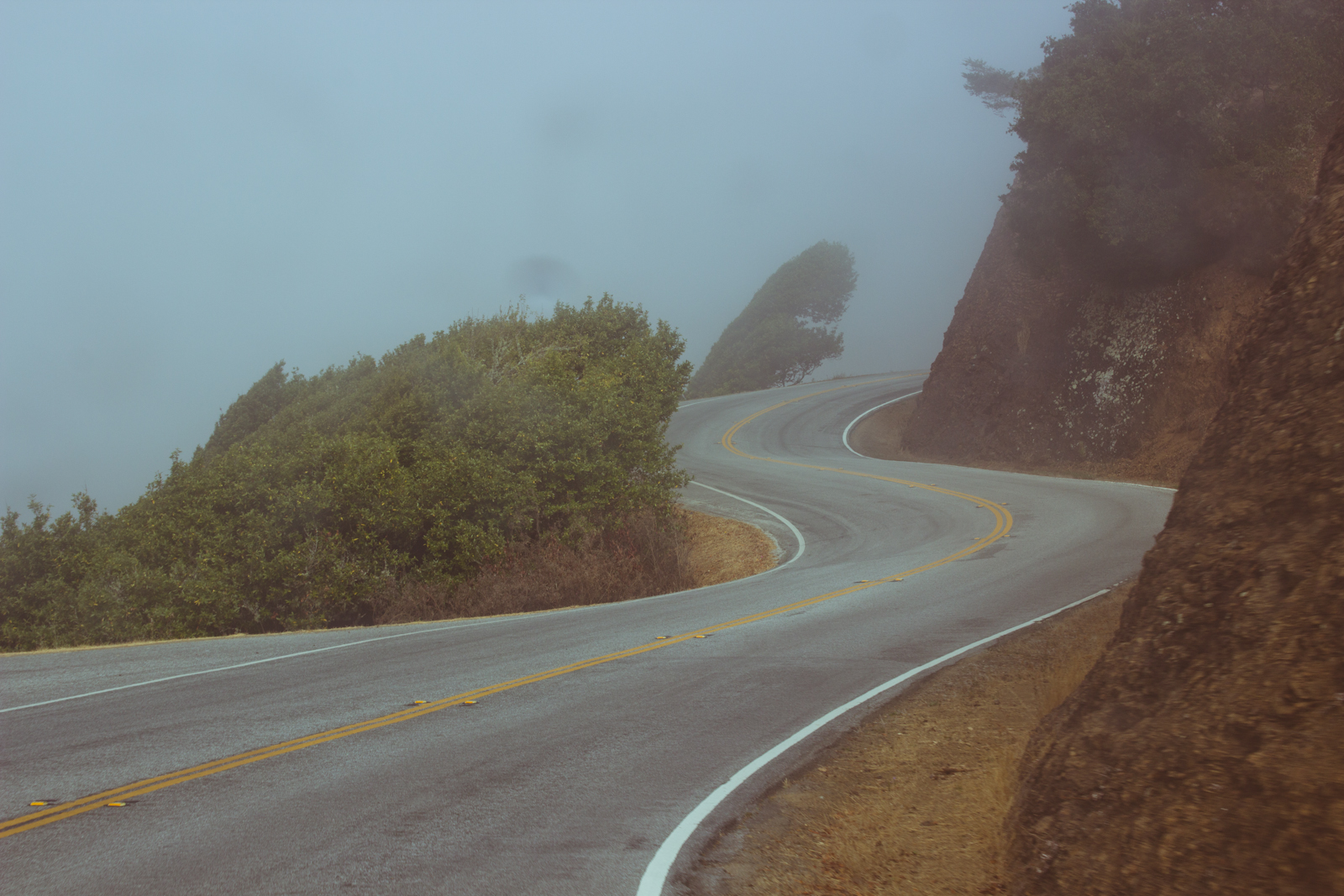 _MG_5138.jpg