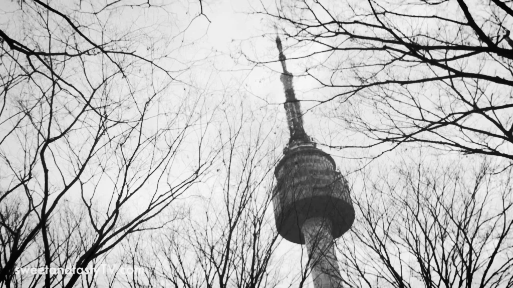 Namsan Tower & Locks of Love