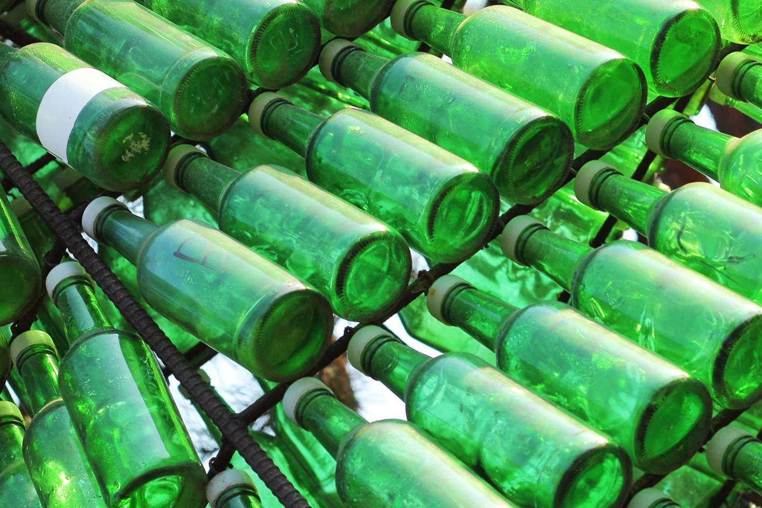 Korean Phrases for Partying and Drinking Etiquette