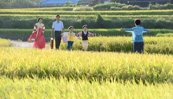 Chuseok: The Korean Thanksgiving