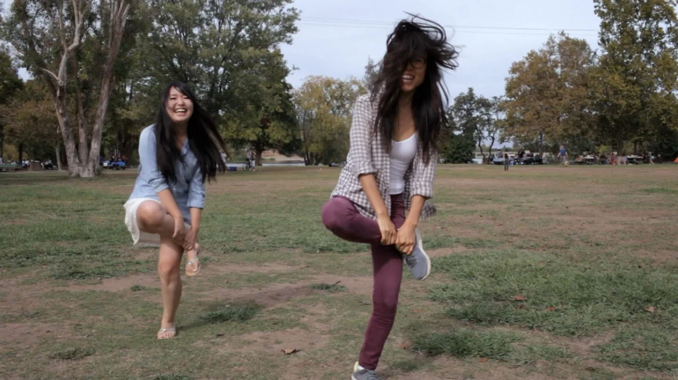 Korean Chicken Fights