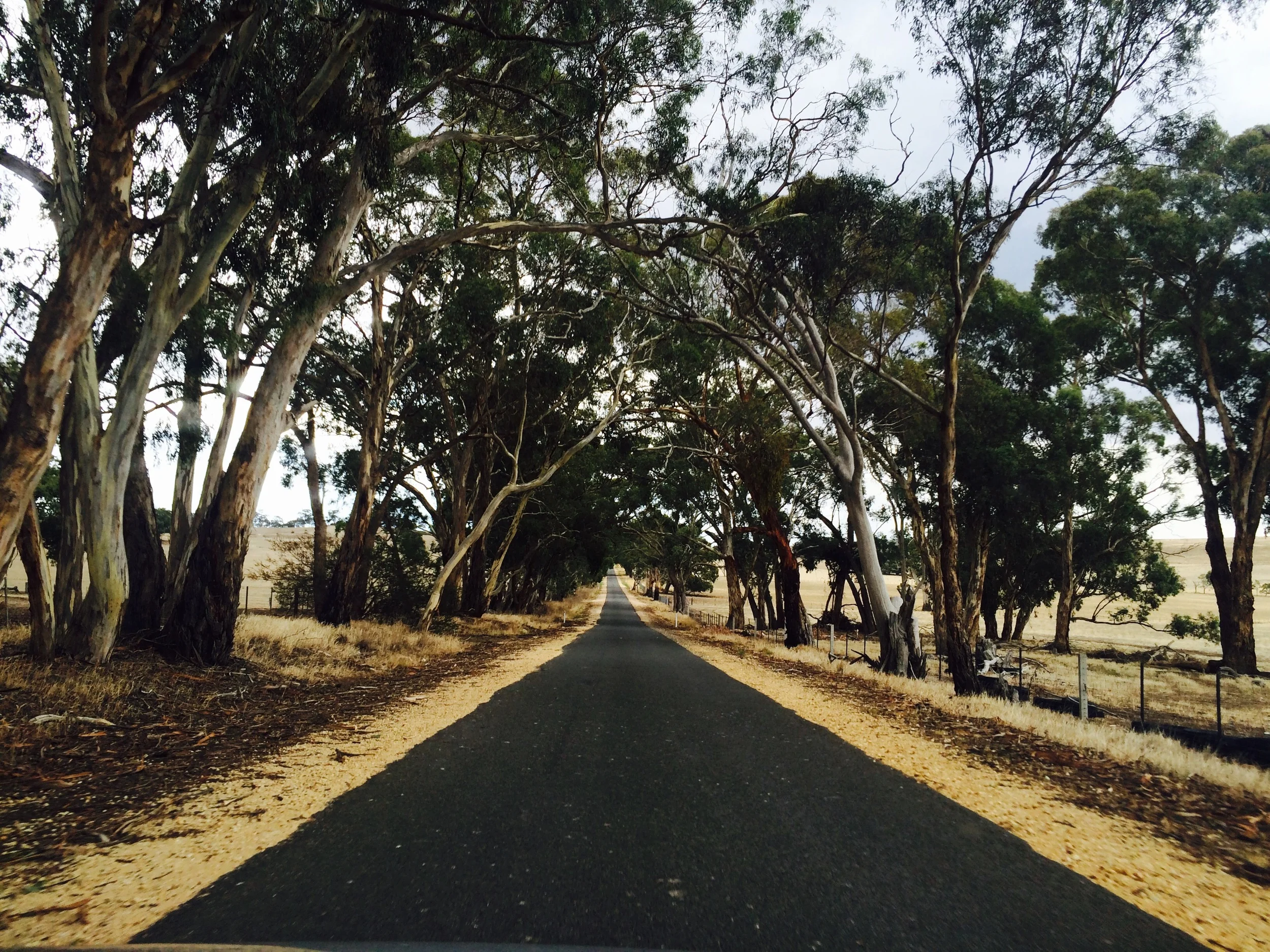 The backroad to Castlemaine